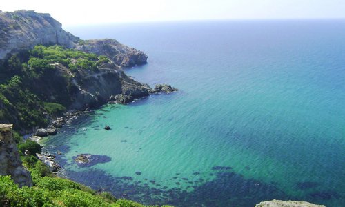 Половина крымчан уверена, что в этом году туристов будет больше, чем раньше